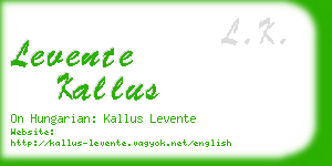 levente kallus business card